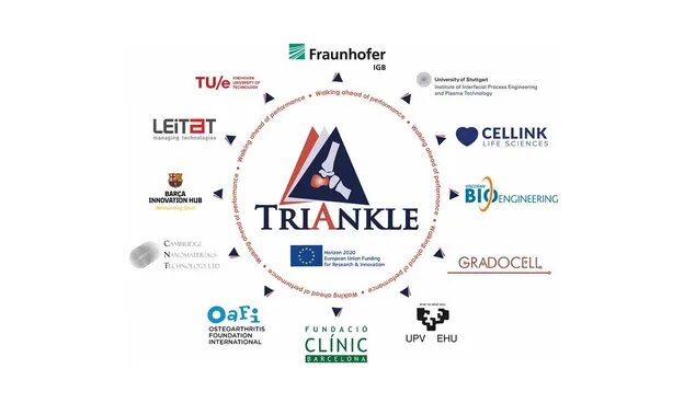 OAFI participa en el proyecto europeo TriAnkle