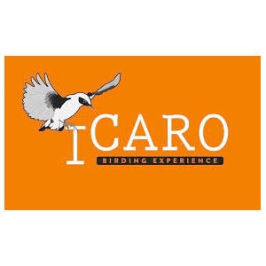 Icaro